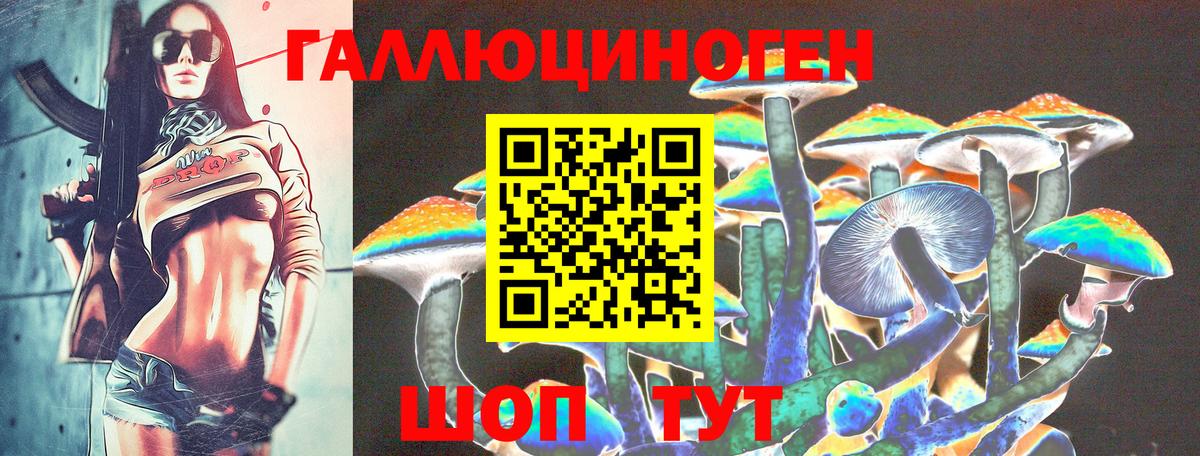 Псилоцибиновые грибы прущие грибы  Вход с VPN  Тихорецк 
