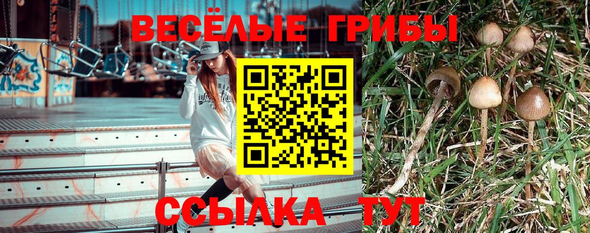 Тихорецк  ГАШ  МАРИХУАНА  LSD-25  Вход с VPN  Сколько стоит  Alpha-PVP СОЛЬ кристаллы  МЕФ   Марихуана  Кокаин 